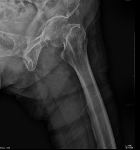 center_img050206_03.jpg